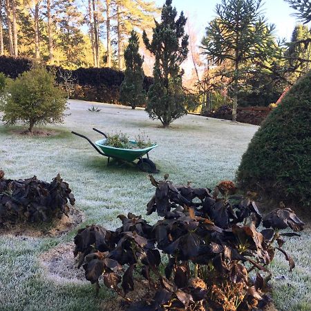 Aconchegante Casa Em Monte Verde Monte Verde  Bagian luar foto