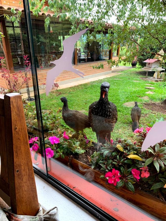 Aconchegante Casa Em Monte Verde Monte Verde  Bagian luar foto