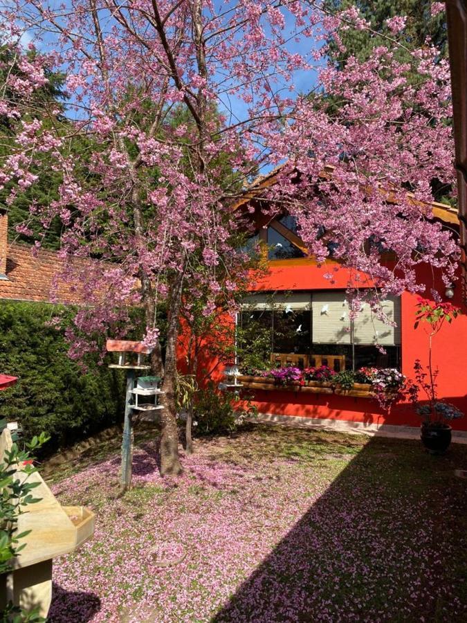 Aconchegante Casa Em Monte Verde Monte Verde  Bagian luar foto